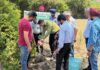 ‘एक पेड़ मां के नाम’ अभियान के तहत फोकल प्वाइंट में पौधारोपण कार्यक्रम आयोजित