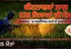 ਕੀਟਨਾਸ਼ਕਾਂ ਦੀ ਅਸੁਰੱਖਿਅਤ ਵਰਤੋਂ ਕਾਰਨ ਰਾਜਸਥਾਨ ‘ਚ 535 ਕਿਸਾਨਾਂ ਦੀ ਮੌ.ਤ.