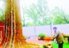 ਸ਼ਹੀਦ ਵੀਰਾਂ ਦੀ ਬਦੌਲਤ ਹੀ ਅੱਜ ਦੇਸ਼ ਦੀ 140 ਕਰੋੜ ਜਨਤਾ ਆਜ਼ਾਦੀ ਦੀ ਹਵਾ ਵਿੱਚ ਸਾਹ ਲੈ ਰਹੀ ਹੈ: ਵੀਰੇਸ਼ ਸ਼ਾਂਡਿਲਿਆ